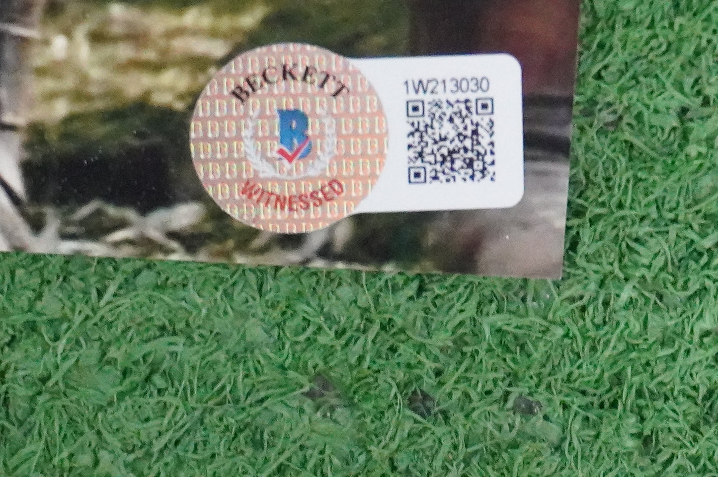 CHRISTINE GALEY SIGNED 8x10 Photo STAR WARS R2-D2 BAS COA