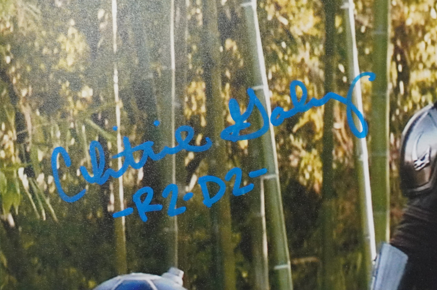 CHRISTINE GALEY SIGNED 8x10 Photo STAR WARS R2-D2 BAS COA