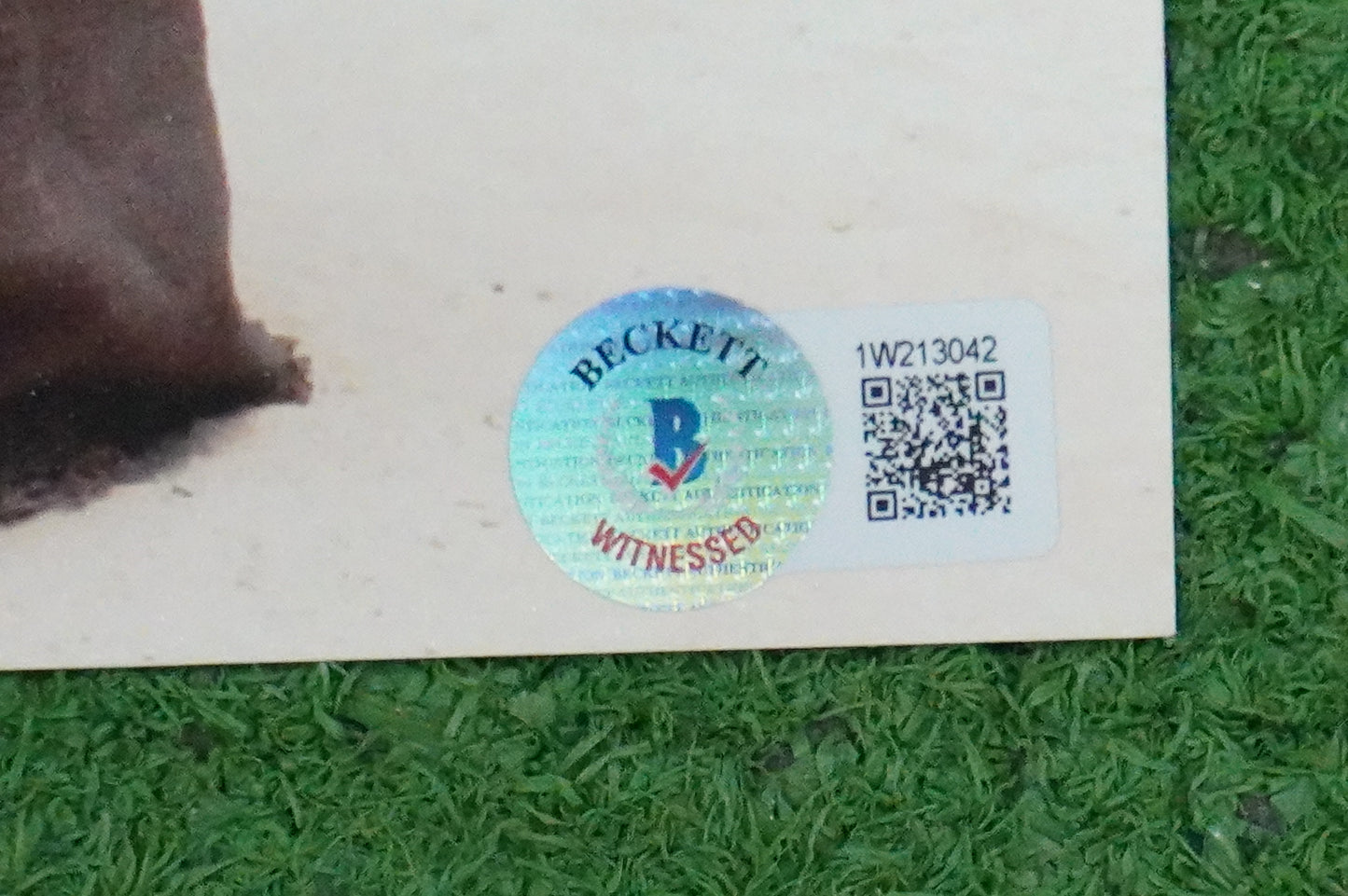 SUSANNA MALEK SIGNED 8x10 PHOTO JAWA in The Mandalorian BAS COA