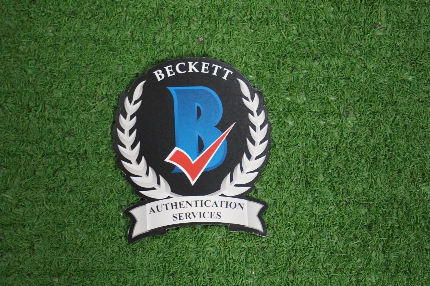 JULIO RUIZ SIGNED 8X10 PHOTO Suicide Squad BAS COA