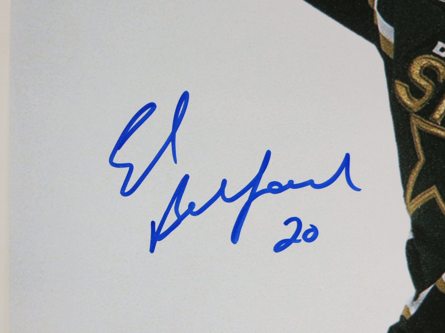 ED BELFOUR Dallas Stars SIGNED STANLEY CUP 16x20 PHOTO Leafs Blackhawks BAS COA