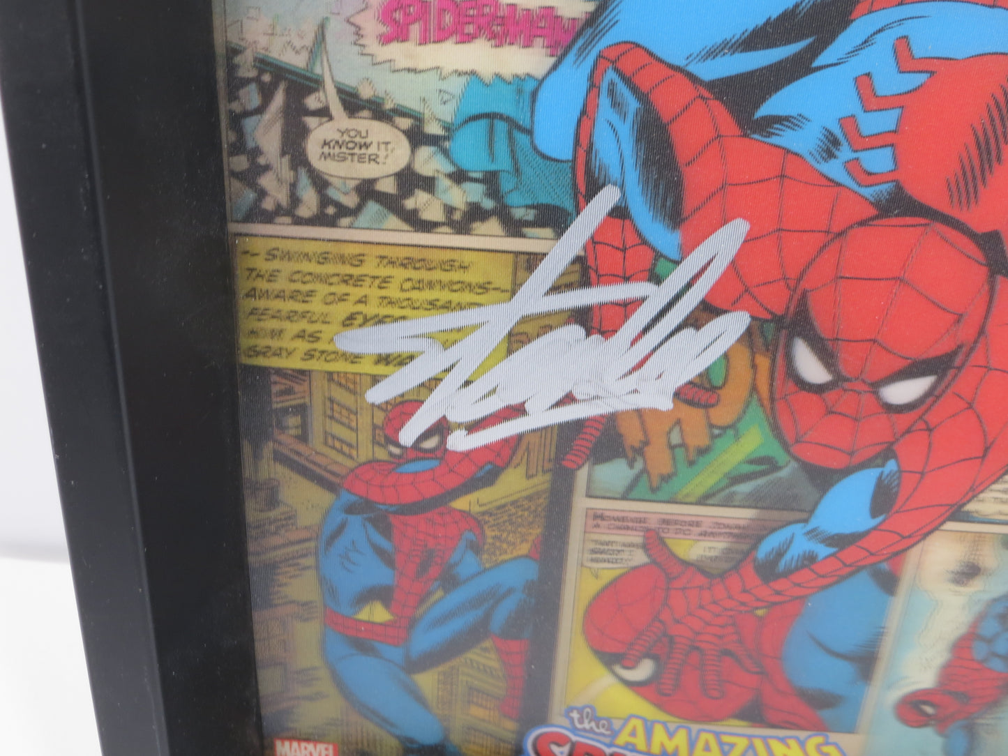 STAN LEE SPIDERMAN SIGNED 3-D Shadowbox MARVEL UNIVERSE DISPLAY StanLeeHolo