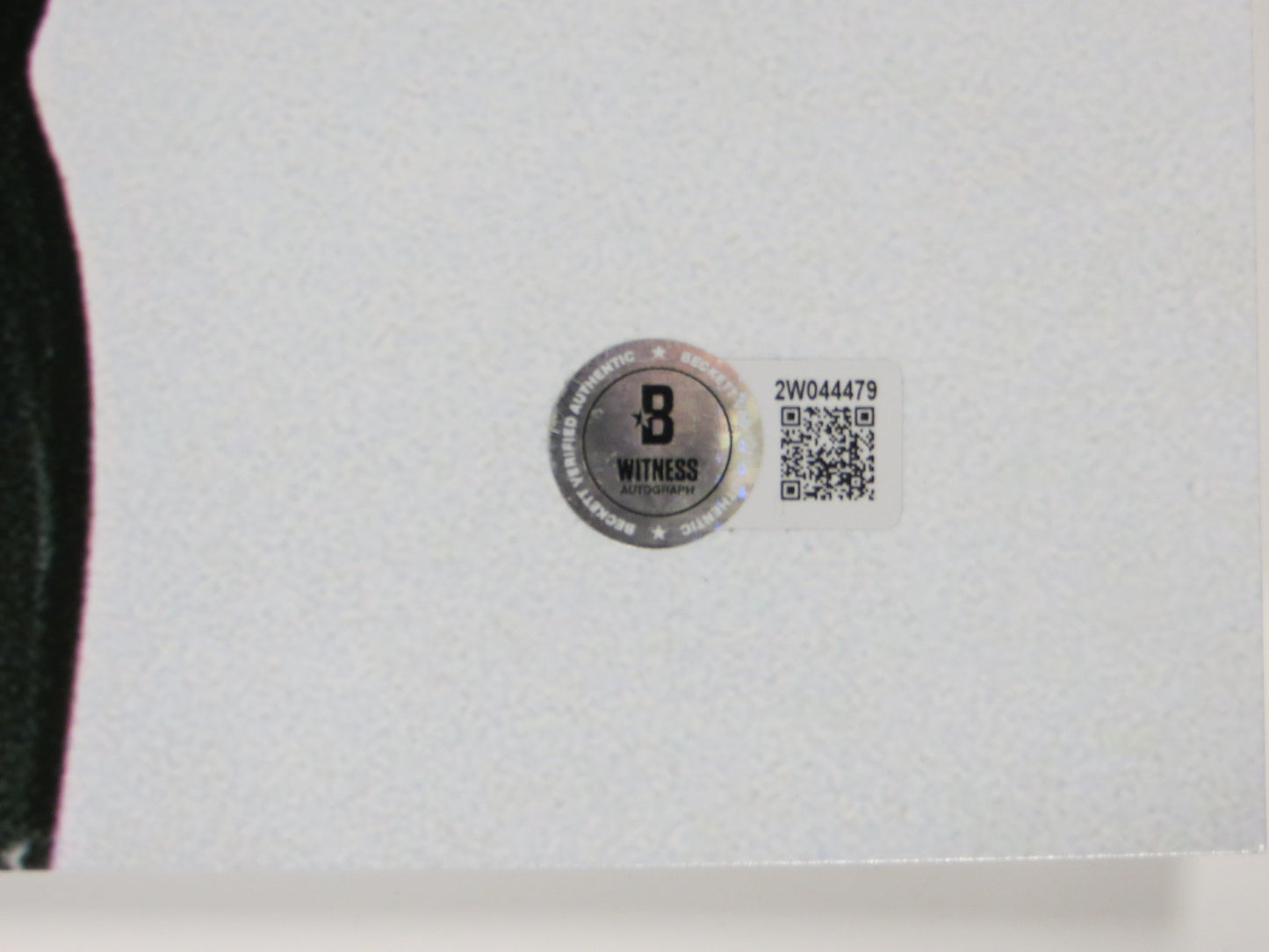 ED BELFOUR Dallas Stars SIGNED STANLEY CUP 16x20 PHOTO Leafs Blackhawks BAS COA