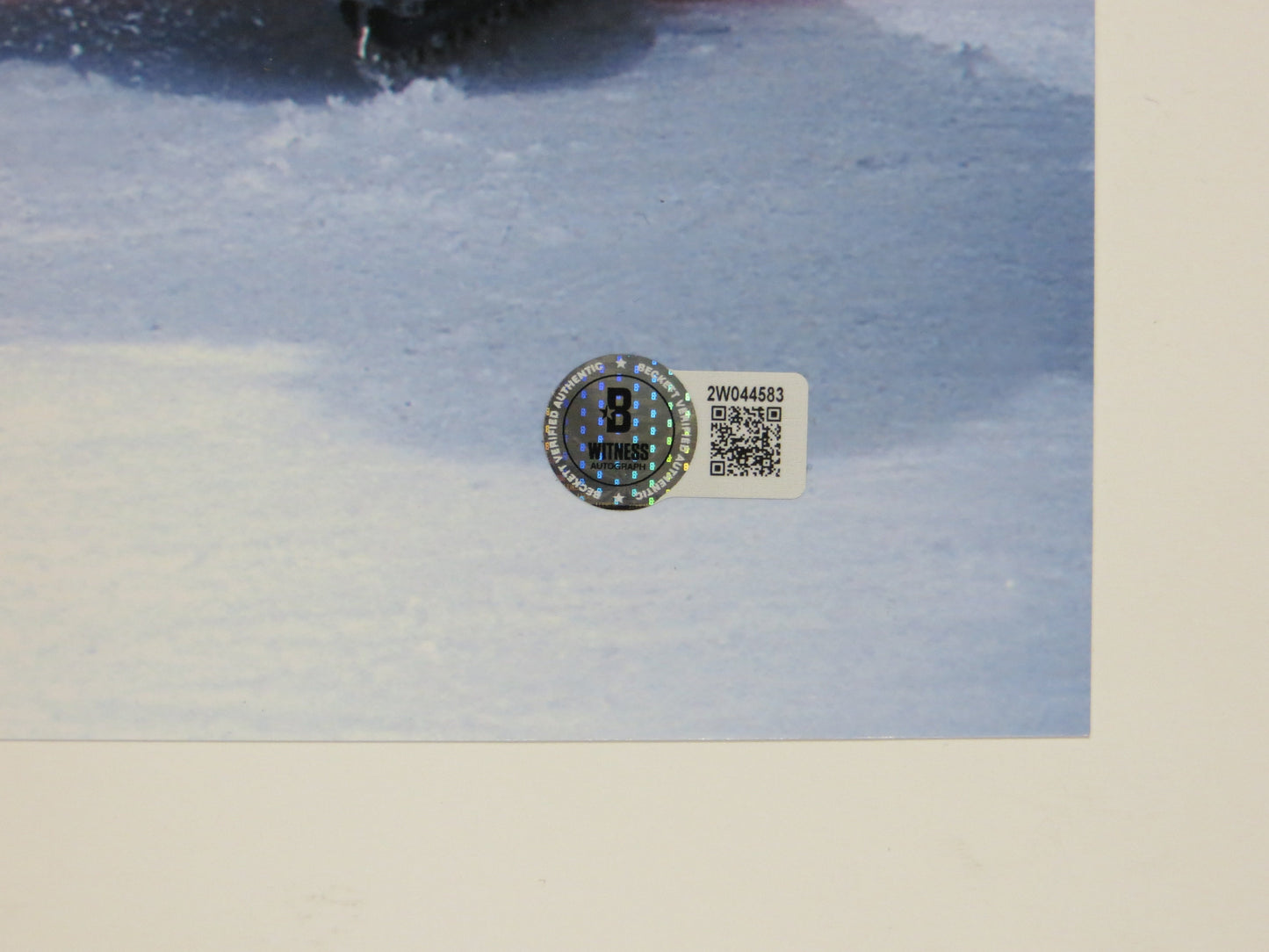 ED BELFOUR Dallas Stars SIGNED In Goal 16x20 PHOTO Leafs Blackhawks BAS COA