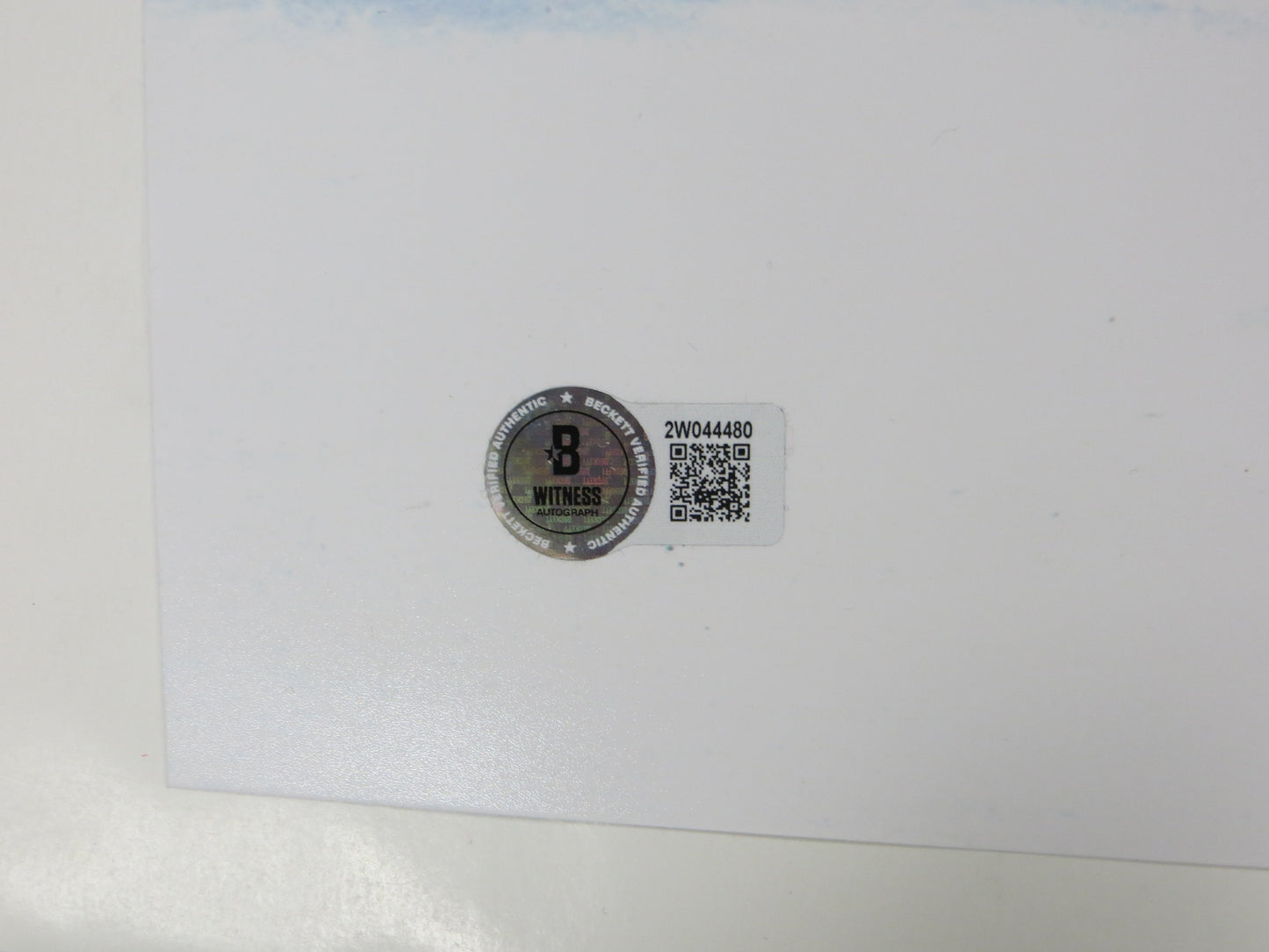 ED BELFOUR Dallas Stars SIGNED In Goal 16x20 PHOTO Leafs Blackhawks BAS COA