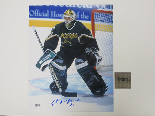 ED BELFOUR Dallas Stars SIGNED In Goal 16x20 PHOTO Leafs Blackhawks BAS COA