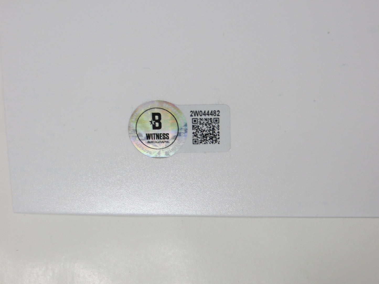 ED BELFOUR Dallas Stars SIGNED In Goal 16x20 PHOTO Leafs Blackhawks BAS COA