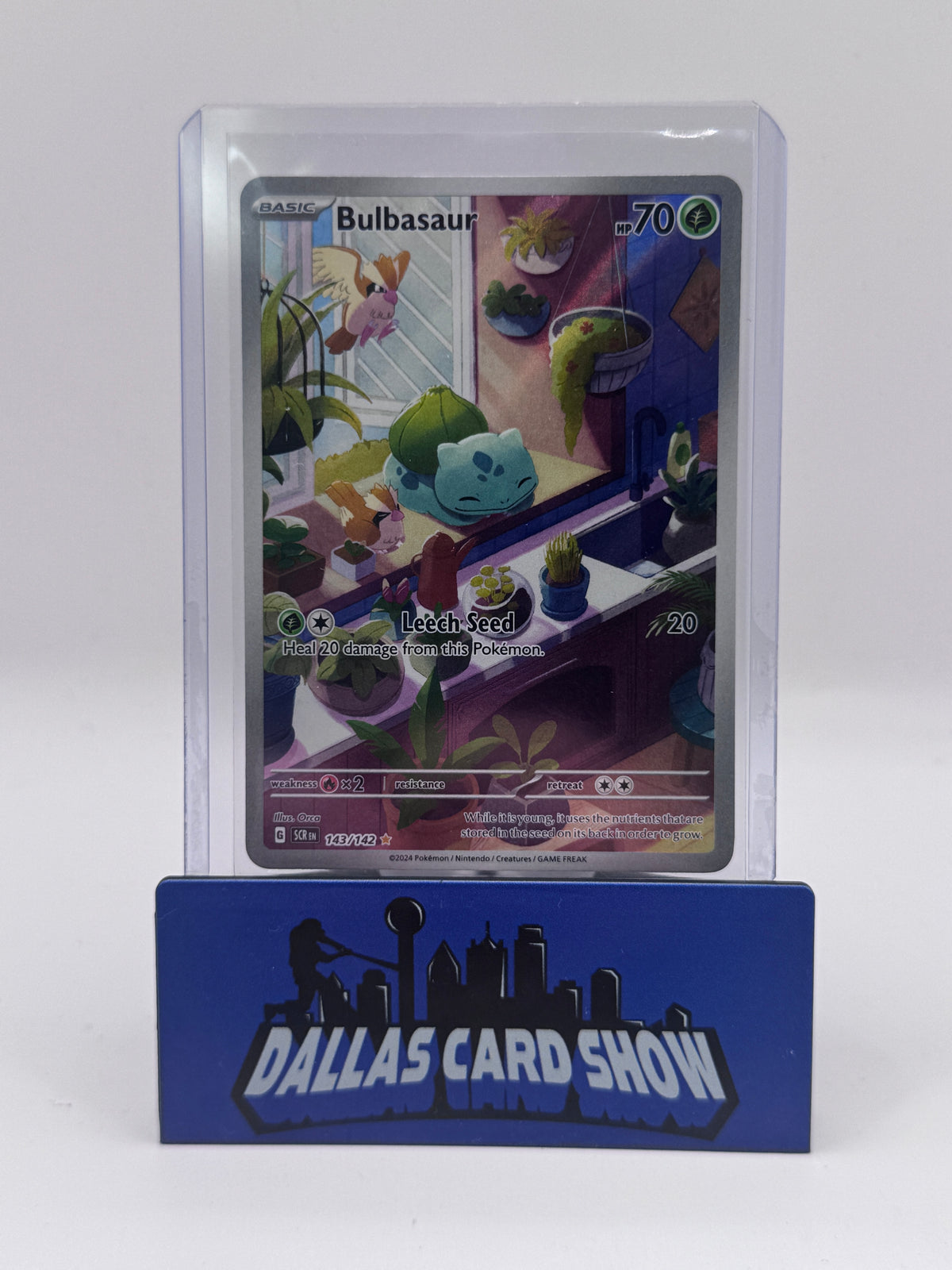 2024 Pokemon - Bulbasaur (Illustration Rare) - 143/142 Stellar Crown NM
