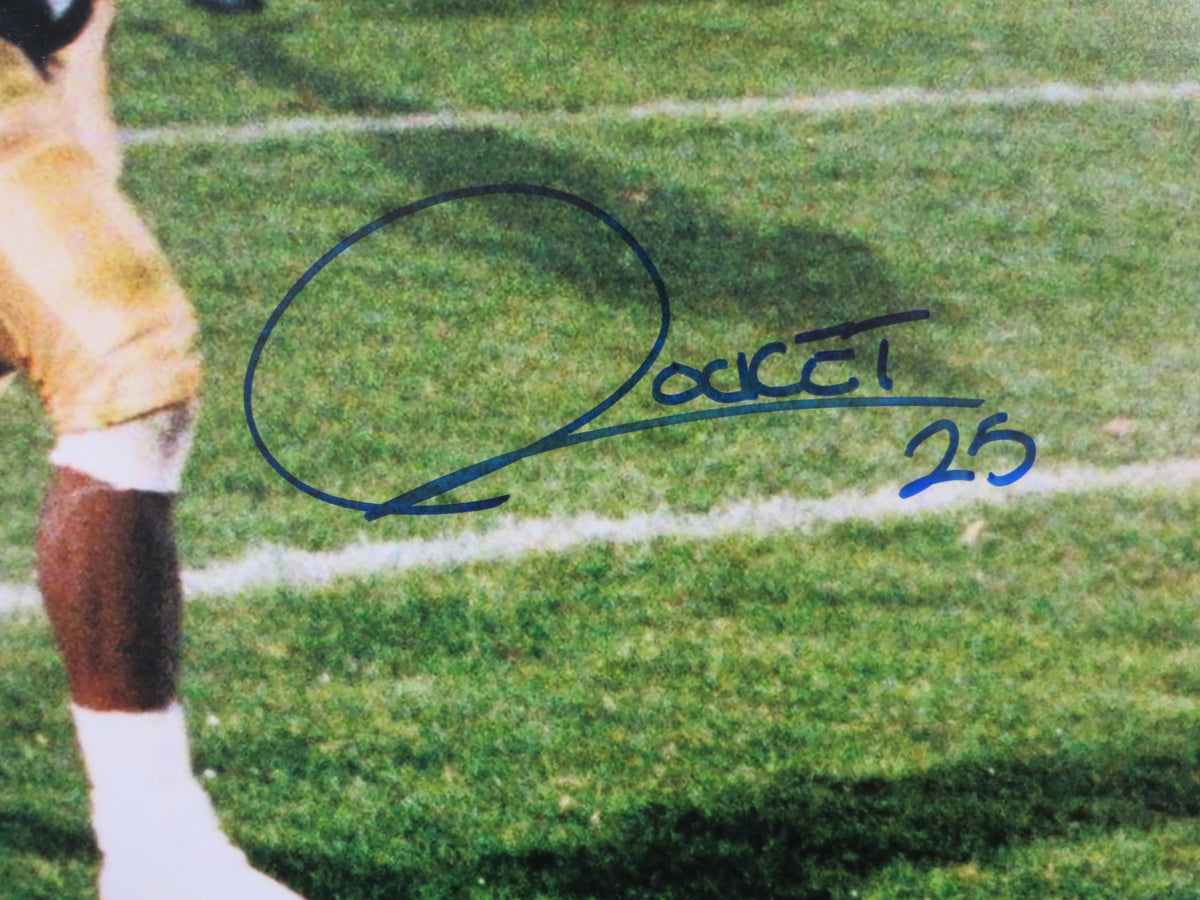 ROCKET ISMAIL NOTRE DAME SIGNED Touchdown 16x20 BAS