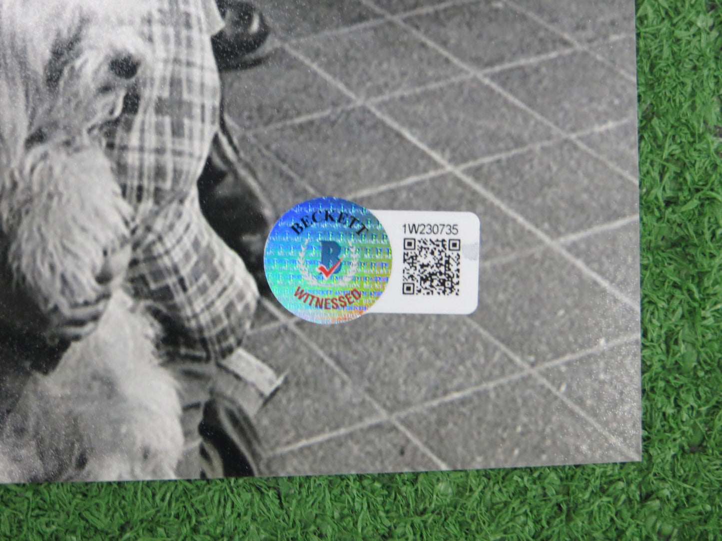 KEVIN VON ERICH SIGNED 8x10 PHOTO w/Fritz Von Erich Family BAS COA