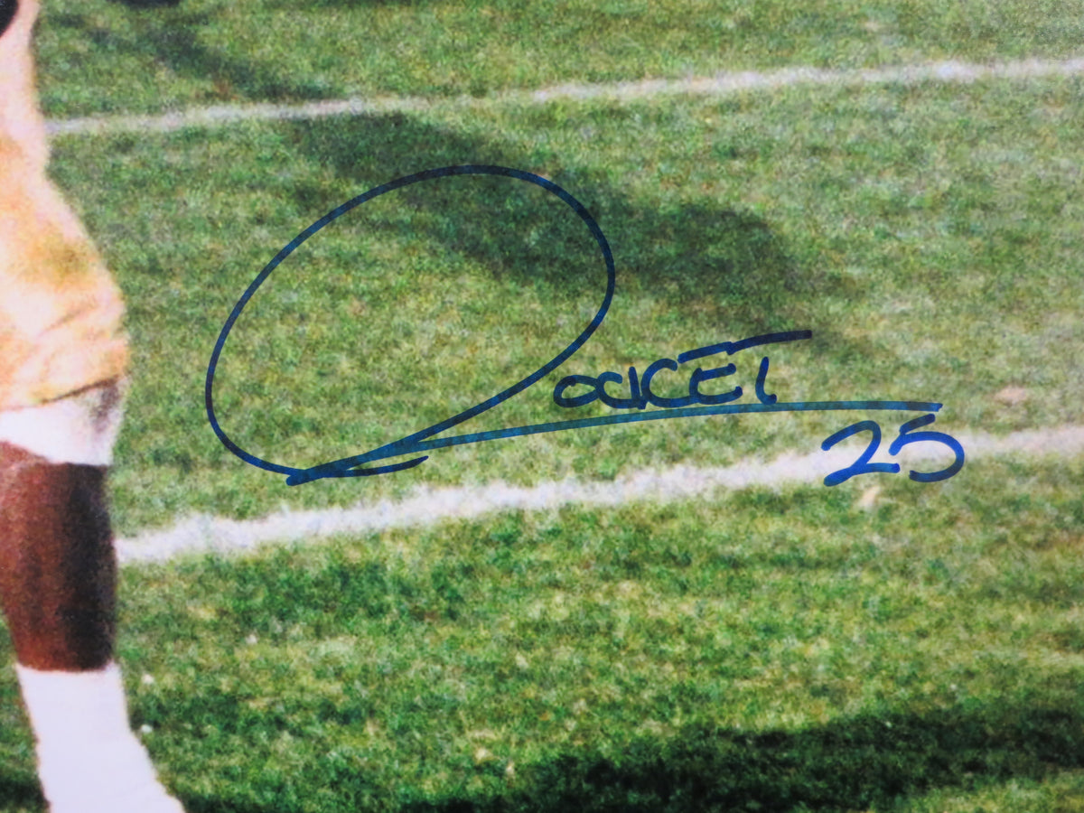 ROCKET ISMAIL NOTRE DAME SIGNED Touchdown 16x20 BAS