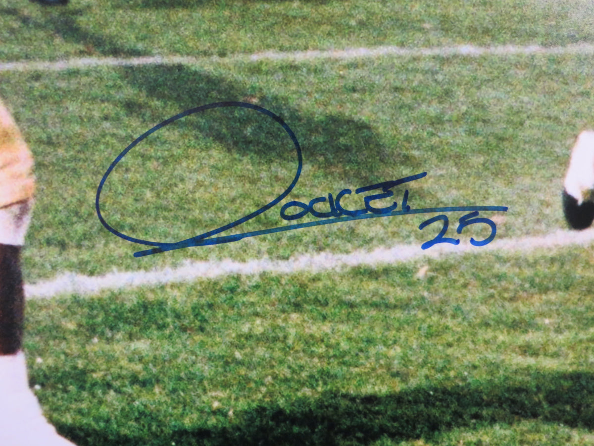 ROCKET ISMAIL NOTRE DAME SIGNED Touchdown 16x20 BAS