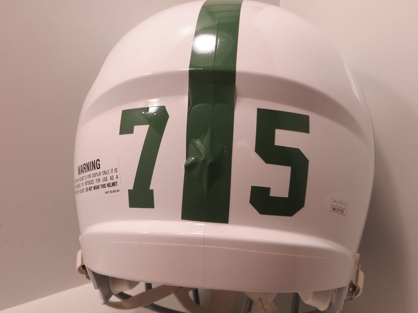 JOE GREENE NORTH TEXAS MEAN GREEN SIGNED FULL SIZE White HELMET w/CHOF 84 JSA