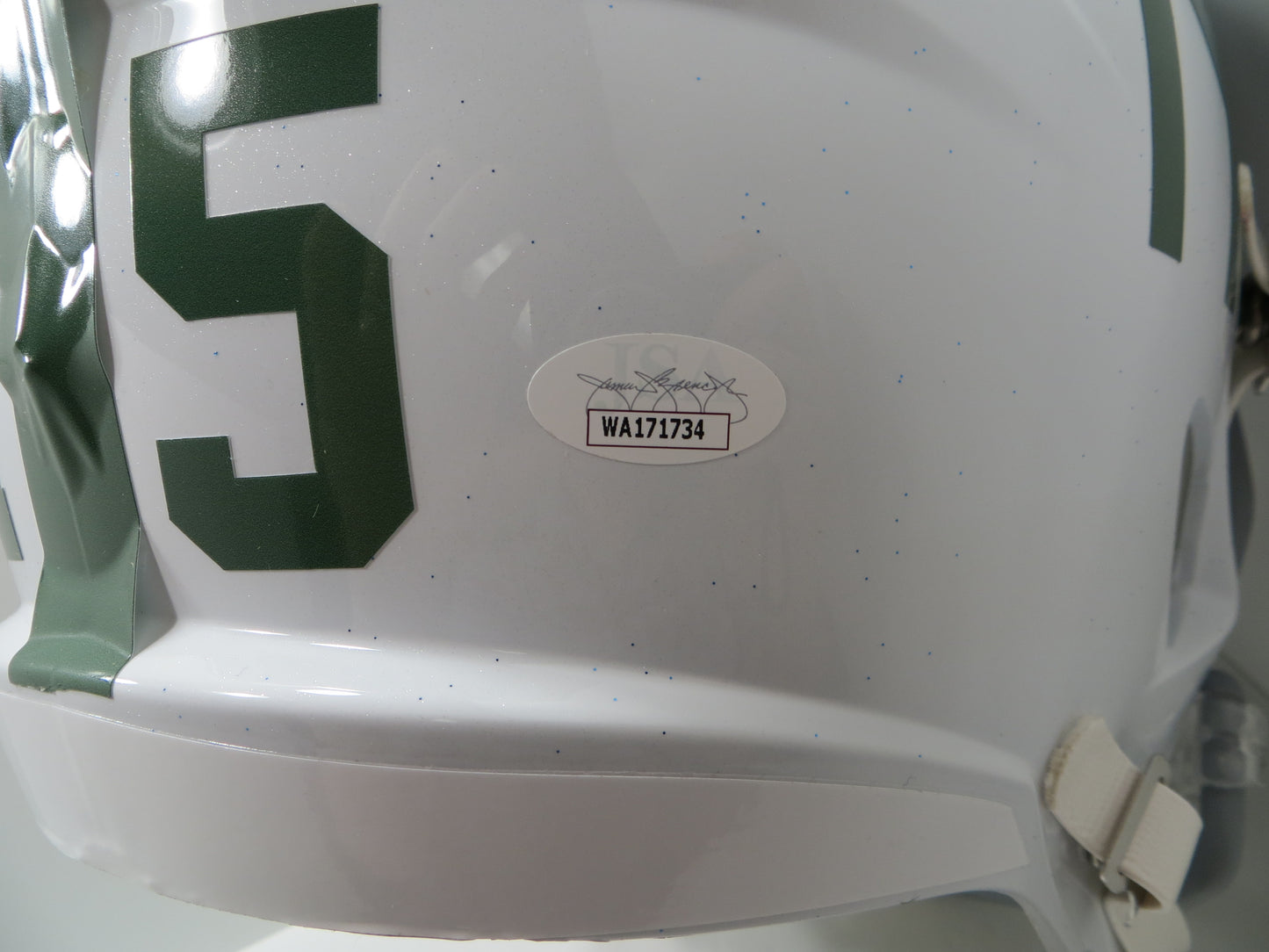 JOE GREENE NORTH TEXAS MEAN GREEN SIGNED FULL SIZE White HELMET w/CHOF84 JSA