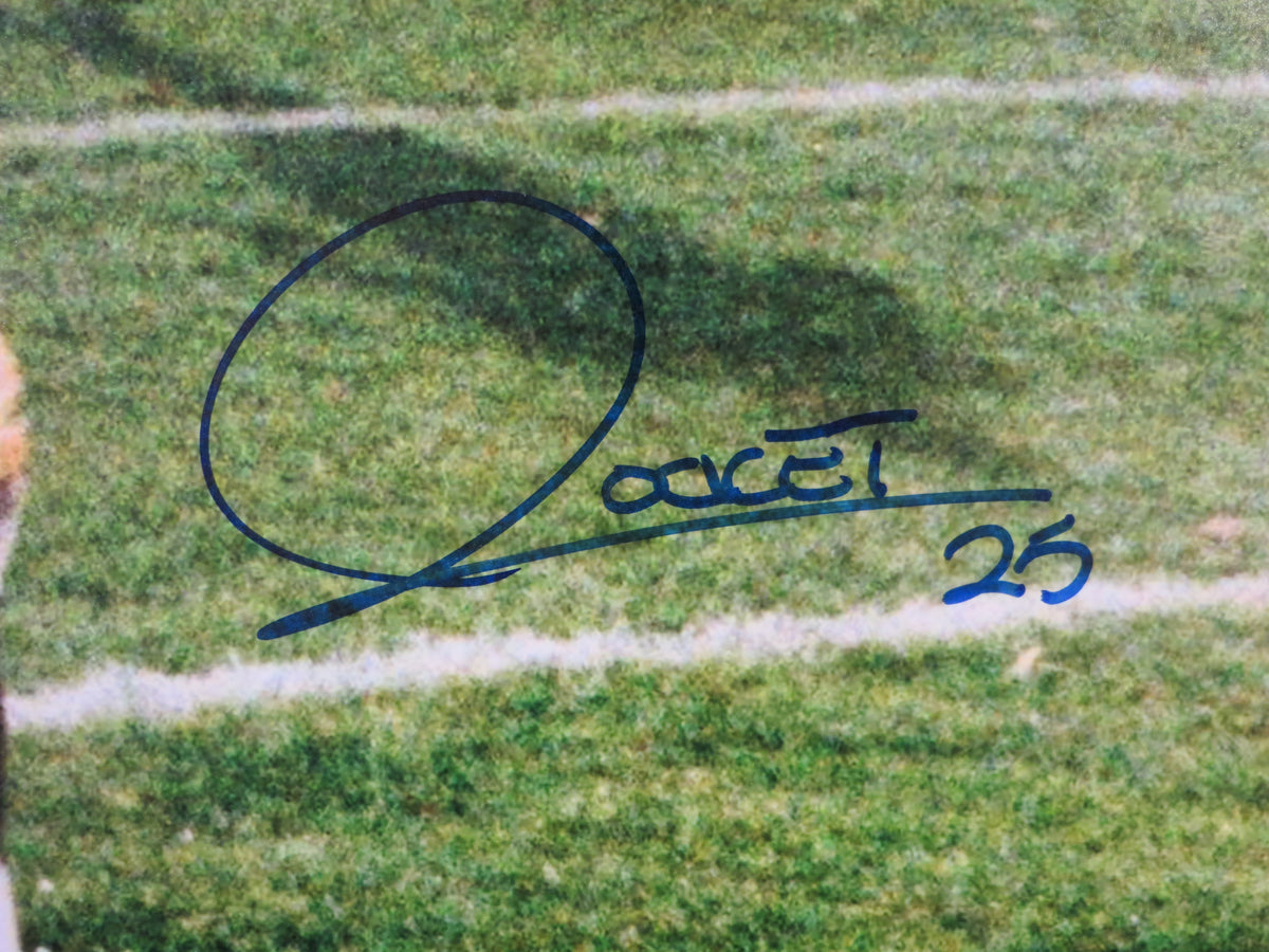 ROCKET ISMAIL NOTRE DAME SIGNED Touchdown 16x20 BAS