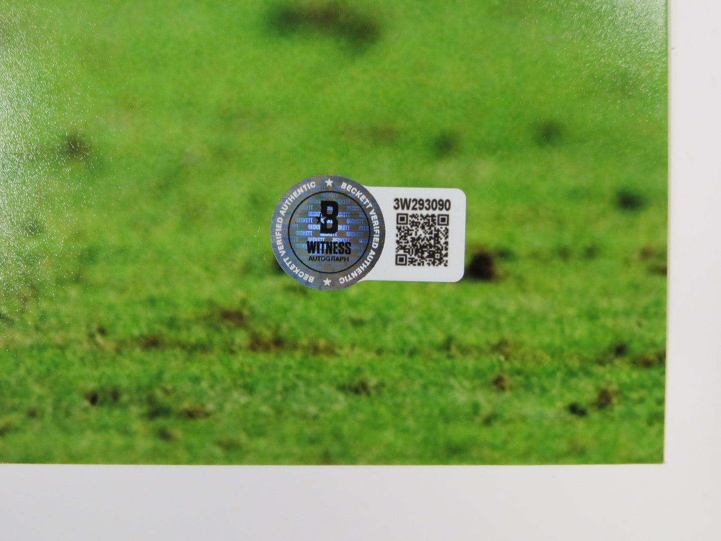 DAT NGUYEN TEXAS A&M AGGIES SIGNED 16x20 PHOTO Dallas Cowboys BAS COA