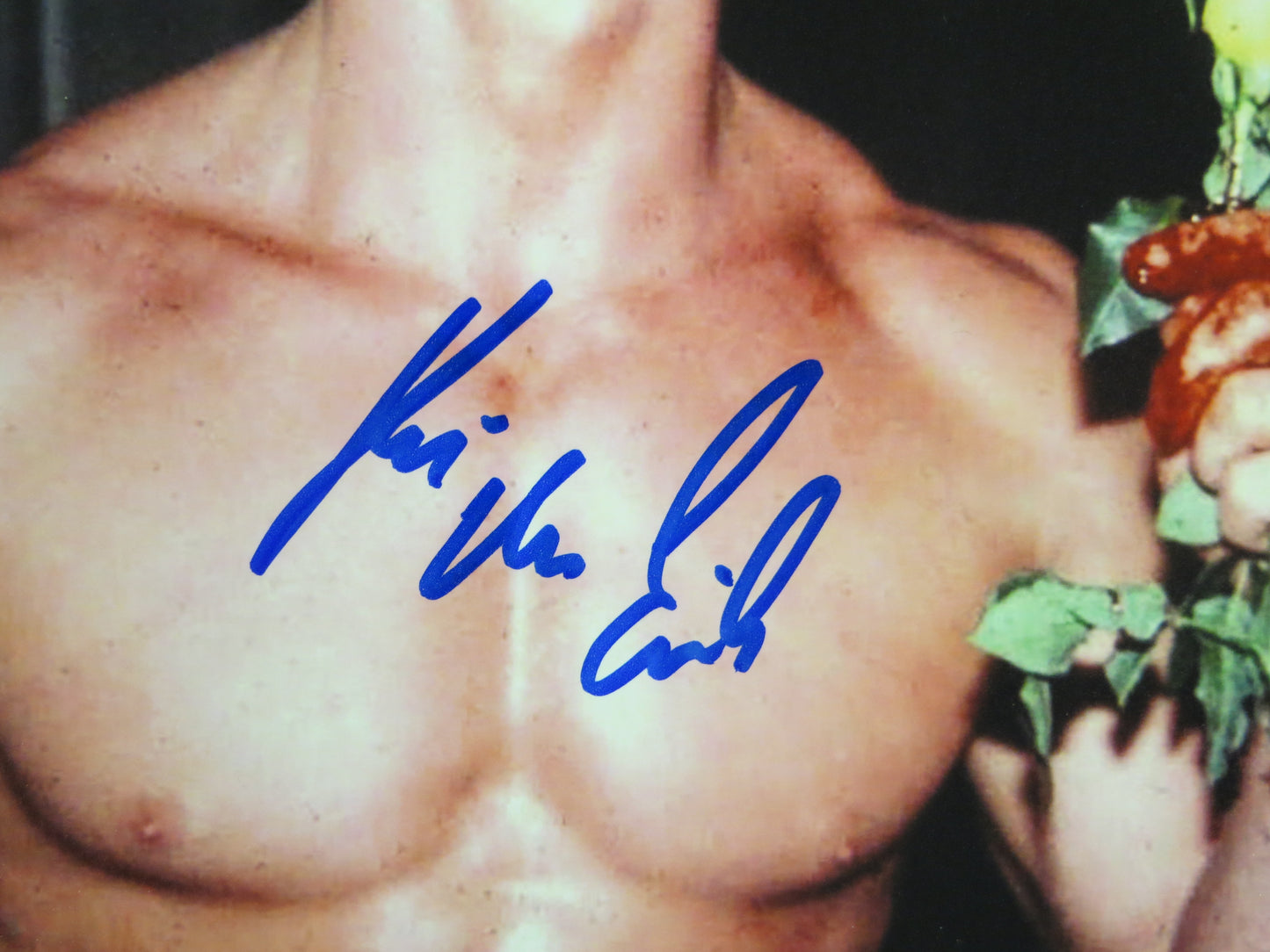 KEVIN VON ERICH SIGNED 8x10 PHOTO YELLOW ROSE WWE WWCW WWF BAS COA