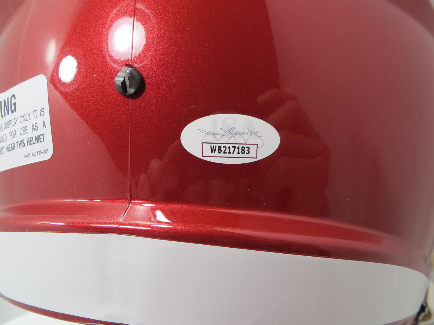 DARREN McFADDEN FELIX JONES SIGNED ARKANSAS RAZORBACKS HELMET w/WildHogs JSA