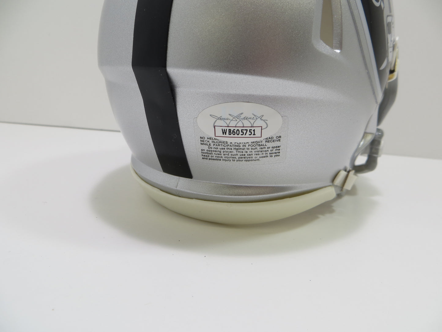 DARREN MCFADDEN SIGNED OAKLAND RAIDERS Riddell MINI HELMET Razorbacks JSA COA