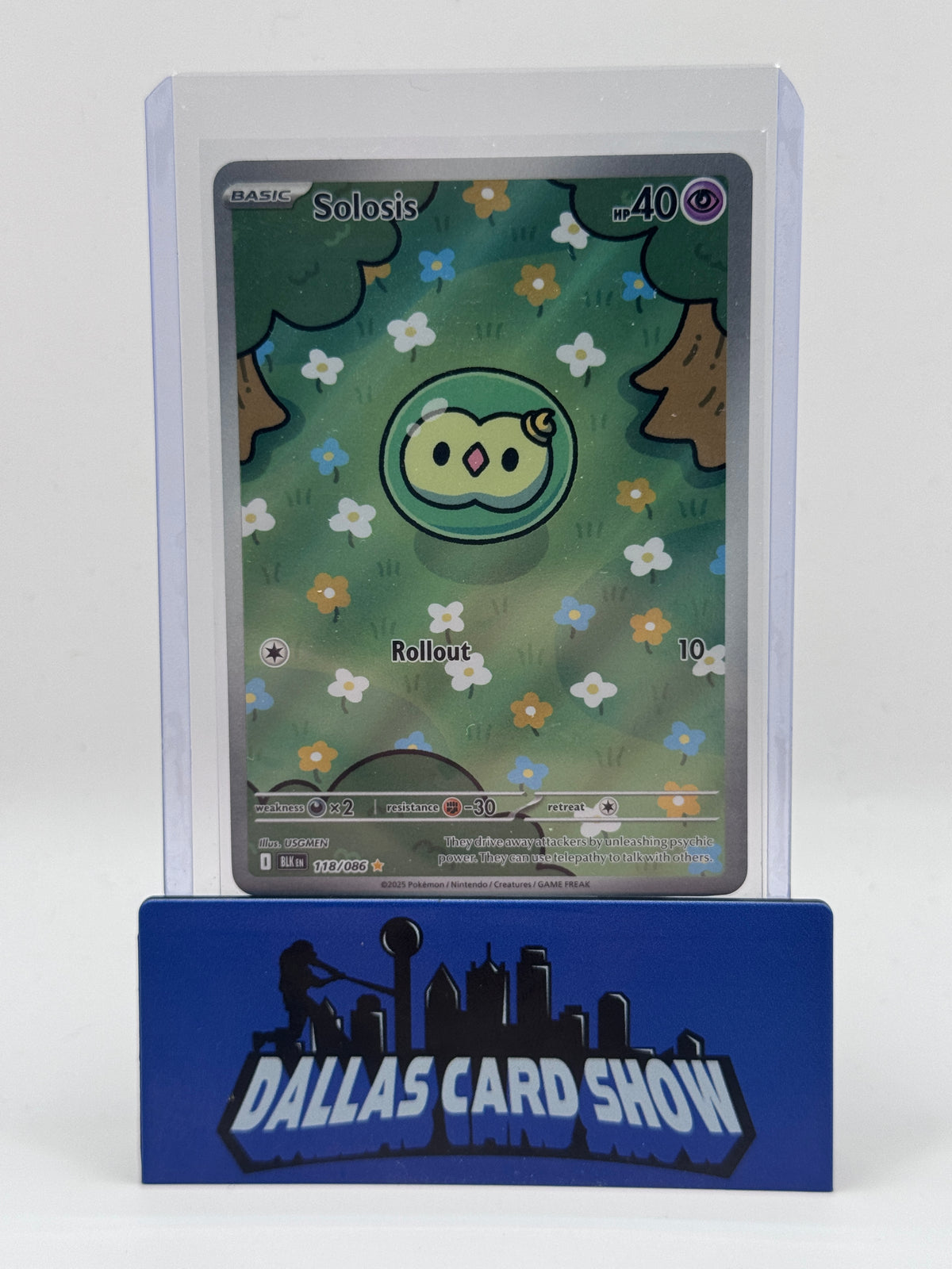 2025 Pokemon - Solosis (Illustration Rare) - 118/086 Black Bolt NM