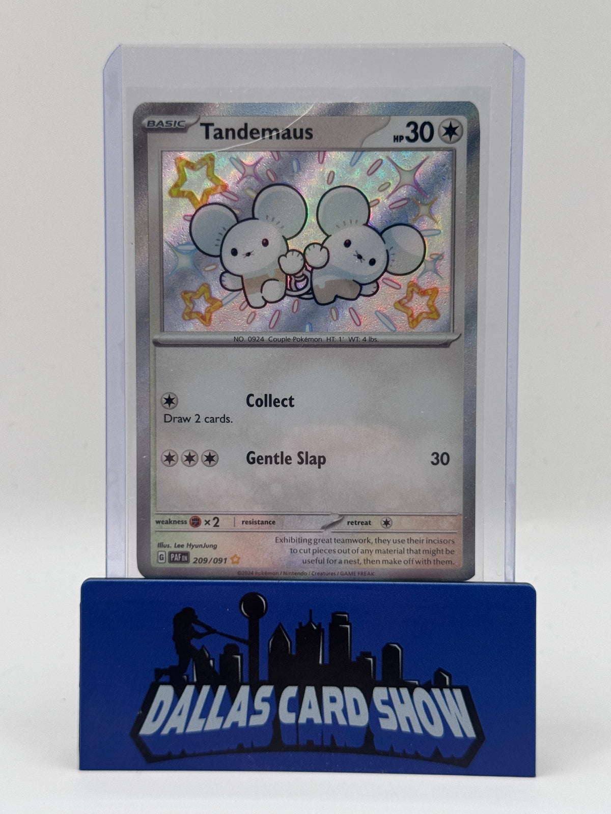 2024 Pokemon - Tandemaus (Shiny) - 209/091 Paldean Fates NM