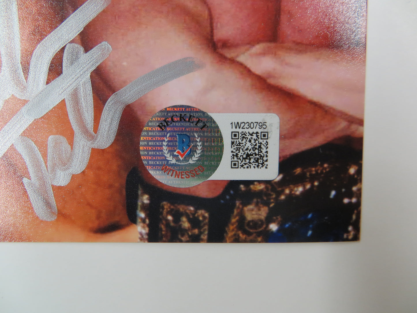 INVESTABILIA by the DALLAS CARD SHOW SIGNED 8x10 Yellow PHOTO Von Erich +MORE BAS
