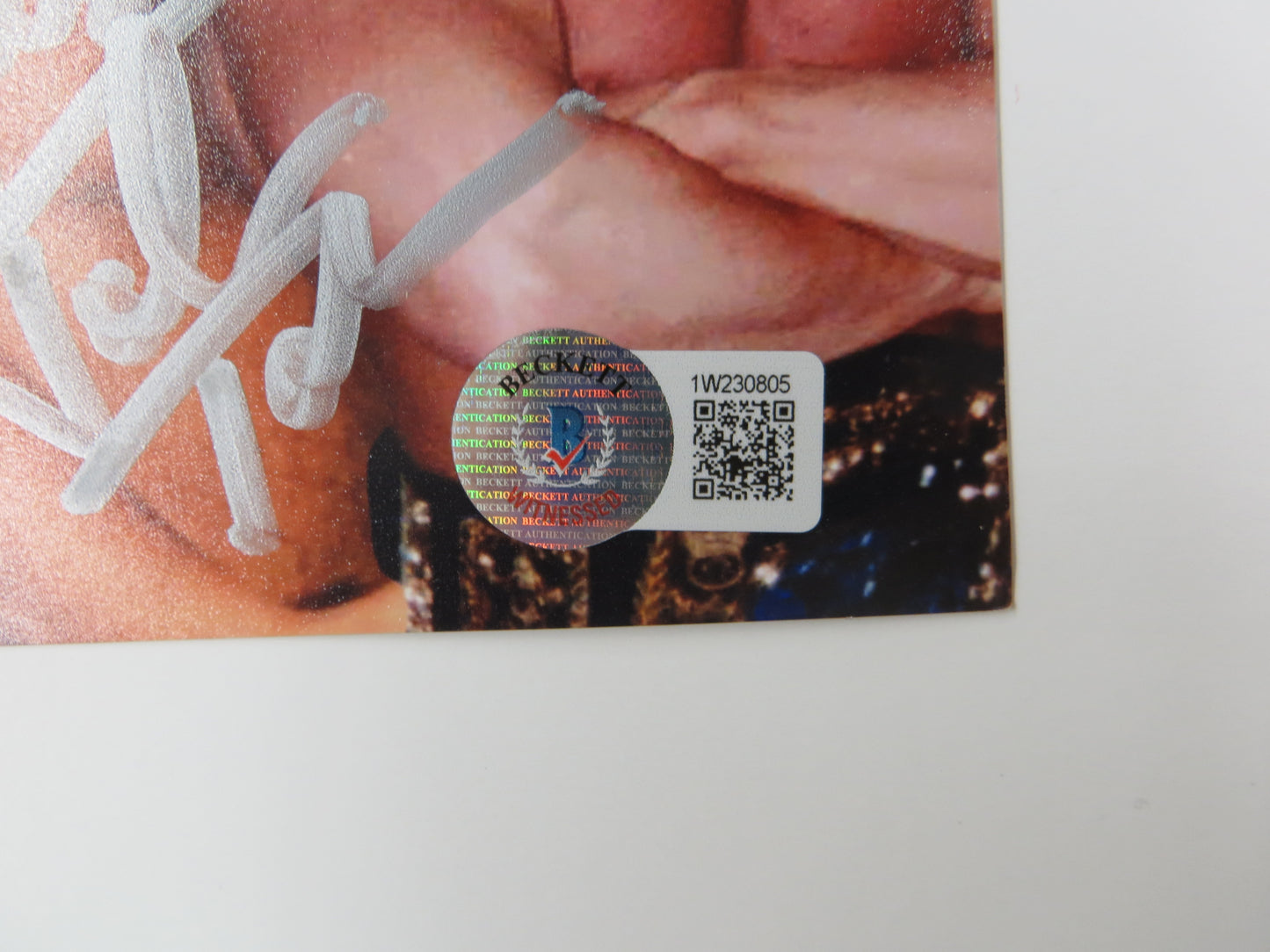 INVESTABILIA by the DALLAS CARD SHOW SIGNED 8x10 Yellow PHOTO Von Erich +MORE BAS