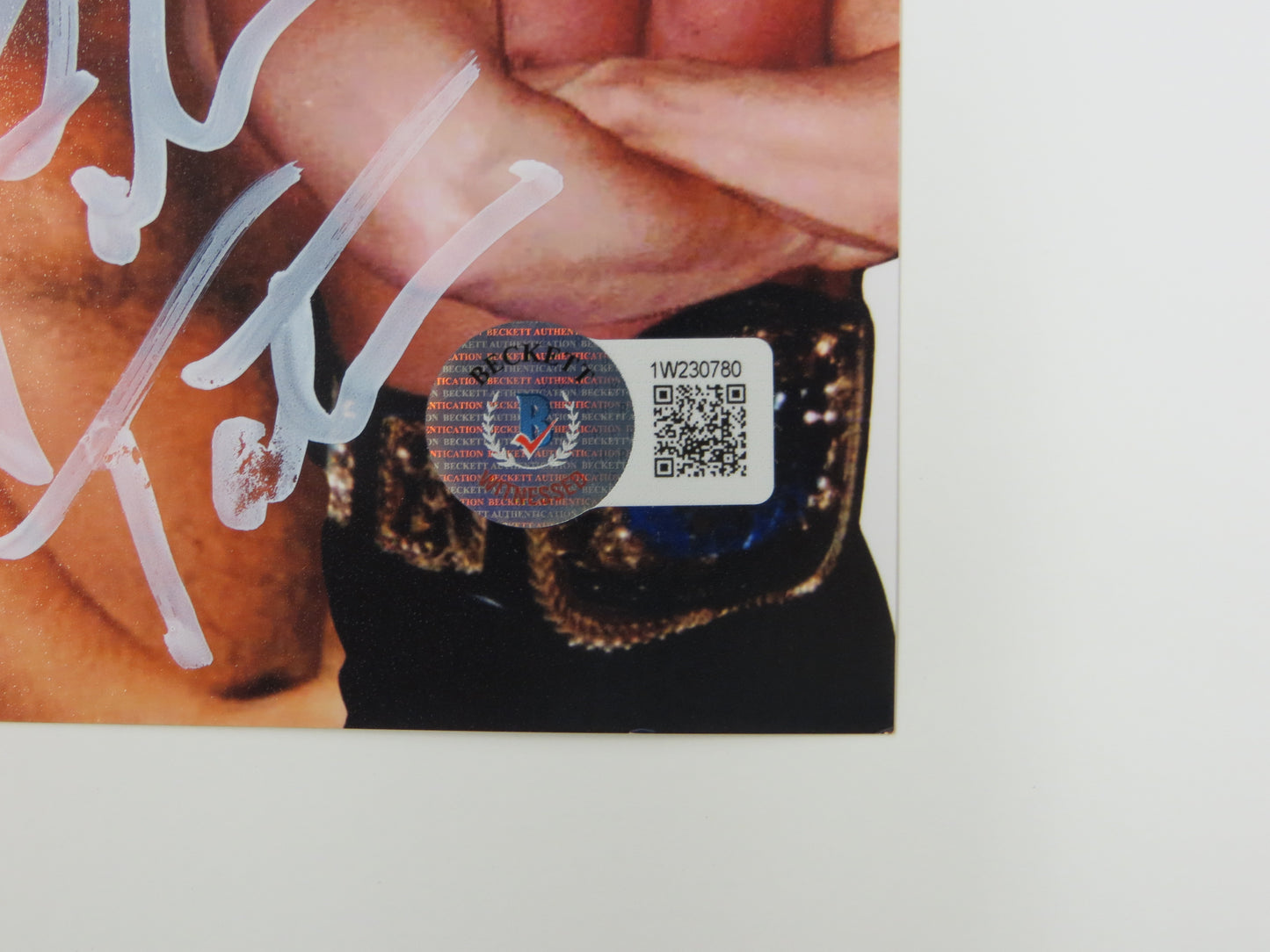 INVESTABILIA by the DALLAS CARD SHOW SIGNED 8x10 White PHOTO Von Erich +MORE BAS