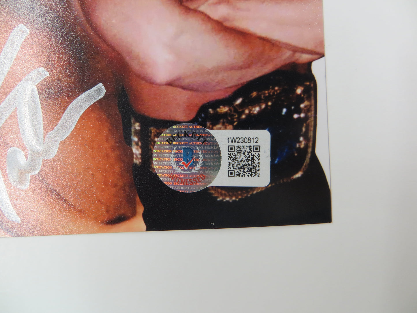 INVESTABILIA by the DALLAS CARD SHOW SIGNED 8x10 White PHOTO Von Erich +MORE BAS