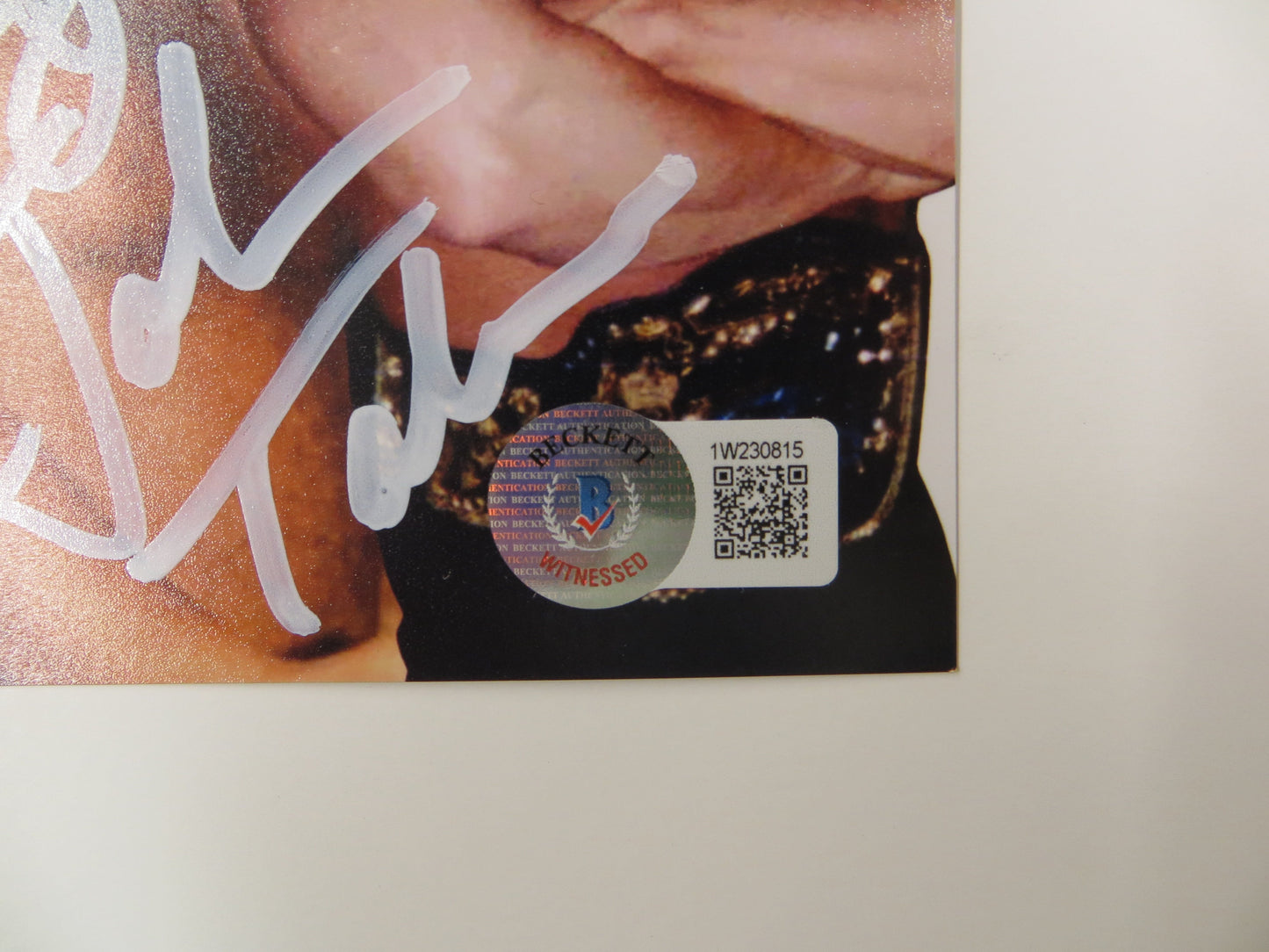 INVESTABILIA by the DALLAS CARD SHOW SIGNED 8x10 White PHOTO Von Erich +MORE BAS