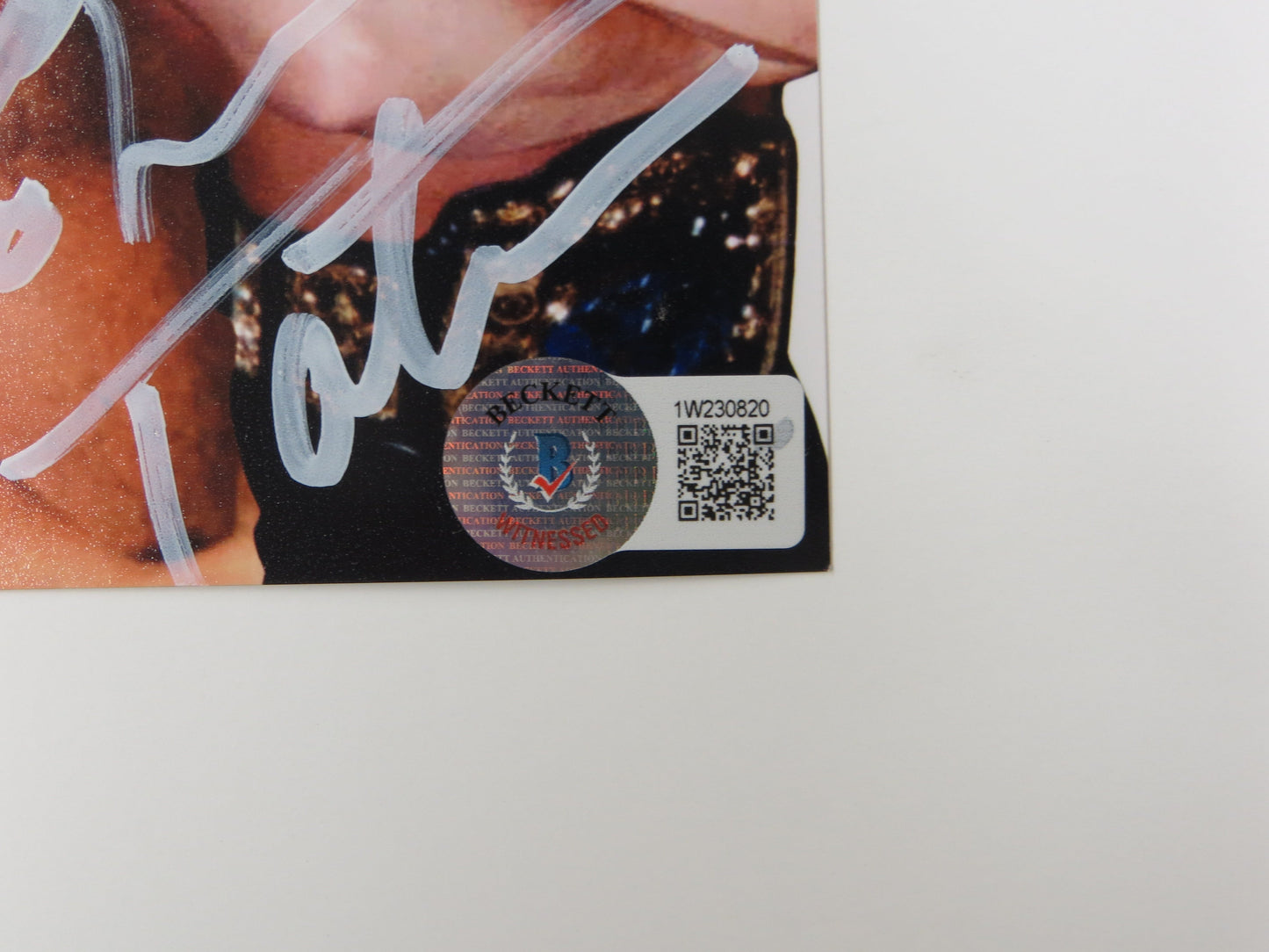 INVESTABILIA by the DALLAS CARD SHOW SIGNED 8x10 White PHOTO Von Erich +MORE BAS