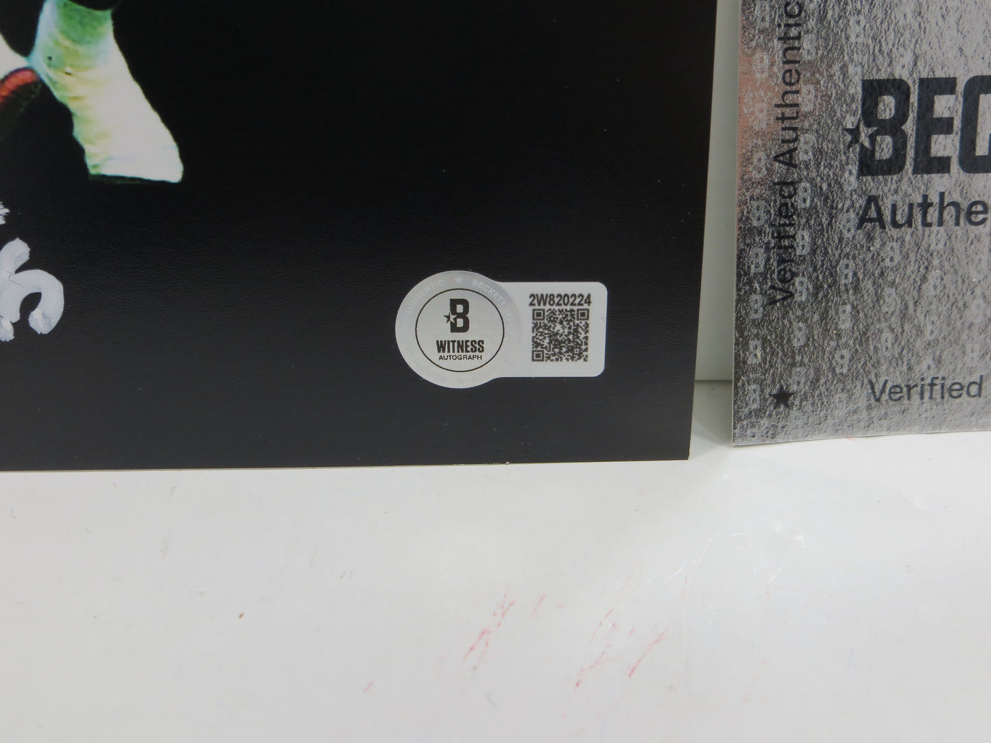 RAGHIB ROCKET ISMAIL TORONTO ARGONAUTS SIGNED 8x10 PHOTO Skyline BAS