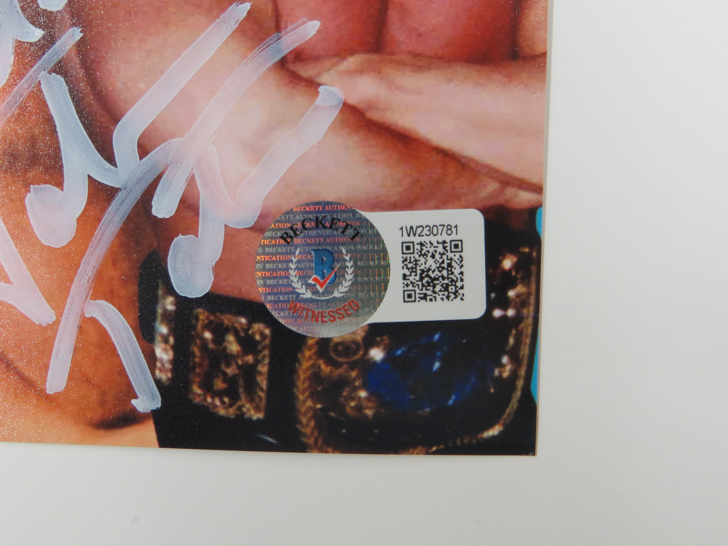 INVESTABILIA by the DALLAS CARD SHOW SIGNED 8x10 Blue PHOTO Von Erich +MORE BAS