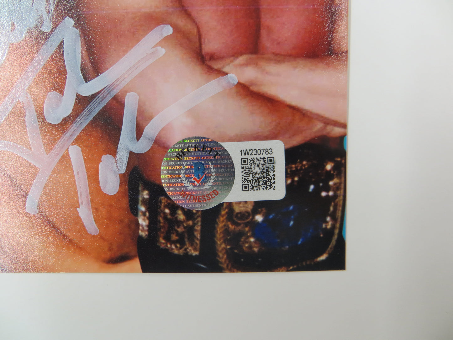 INVESTABILIA by the DALLAS CARD SHOW SIGNED 8x10 Blue PHOTO Von Erich +MORE BAS