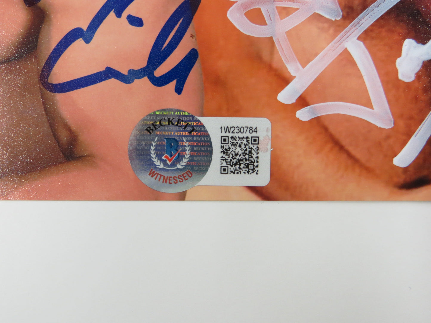 INVESTABILIA by the DALLAS CARD SHOW SIGNED 8x10 Blue PHOTO Von Erich +MORE BAS