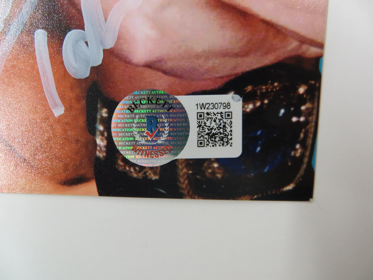 INVESTABILIA by the DALLAS CARD SHOW SIGNED 8x10 Blue PHOTO Von Erich +MORE BAS