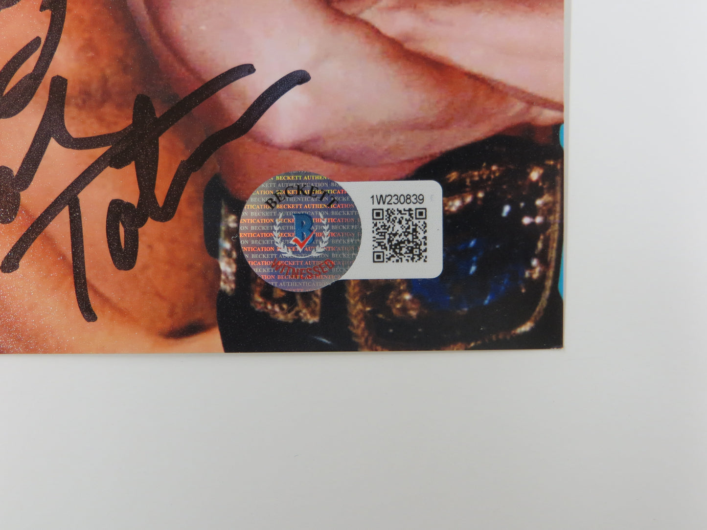 INVESTABILIA by the DALLAS CARD SHOW SIGNED 8x10 Blue PHOTO Von Erich +MORE BAS