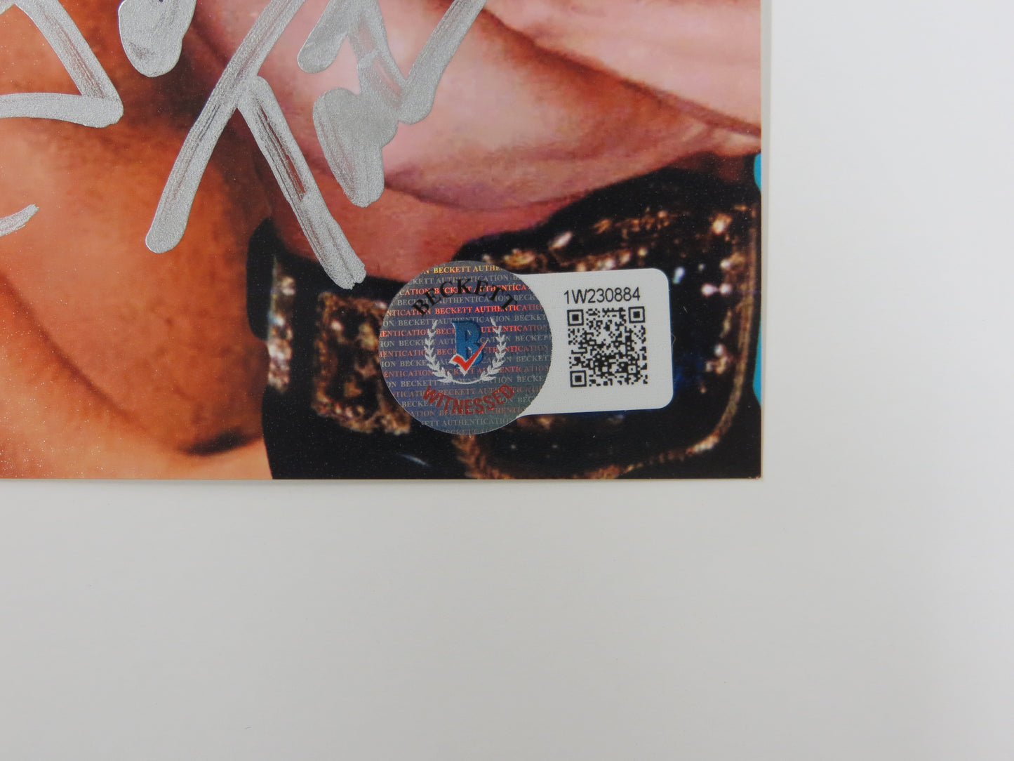 INVESTABILIA by the DALLAS CARD SHOW SIGNED 8x10 Blue PHOTO Von Erich +MORE BAS