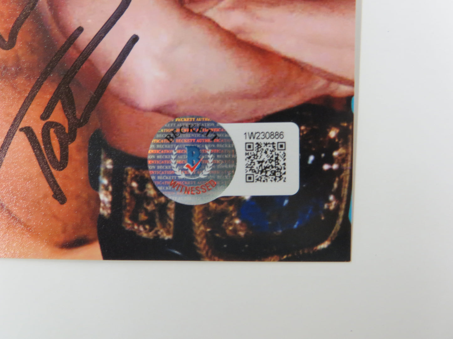 INVESTABILIA by the DALLAS CARD SHOW SIGNED 8x10 Blue PHOTO Von Erich +MORE BAS
