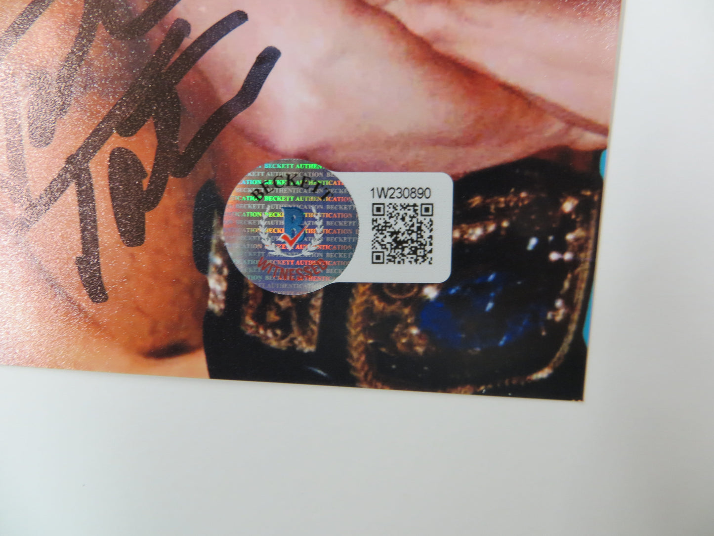 INVESTABILIA by the DALLAS CARD SHOW SIGNED 8x10 Blue PHOTO Von Erich +MORE BAS