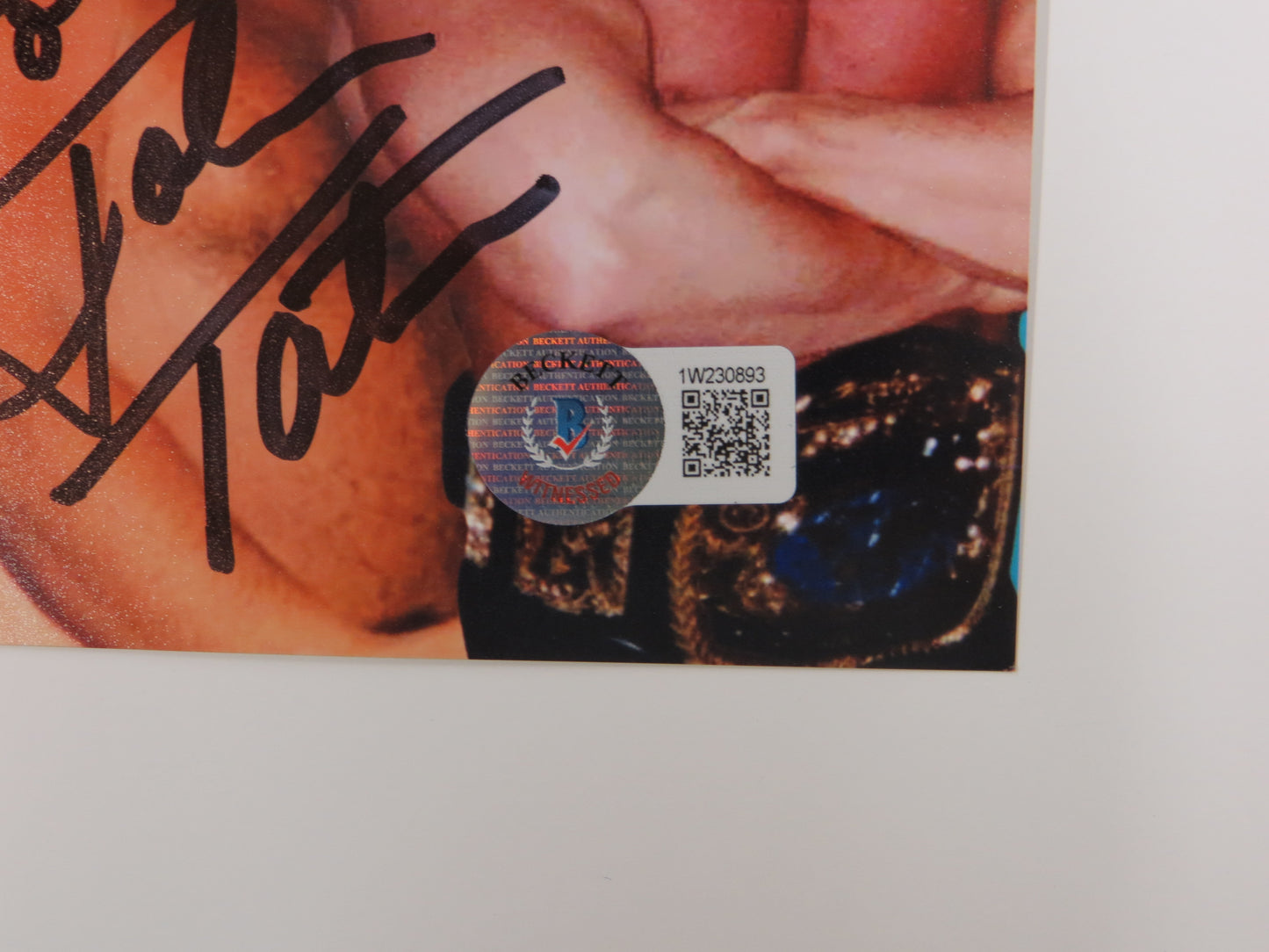 INVESTABILIA by the DALLAS CARD SHOW SIGNED 8x10 Blue PHOTO Von Erich +MORE BAS