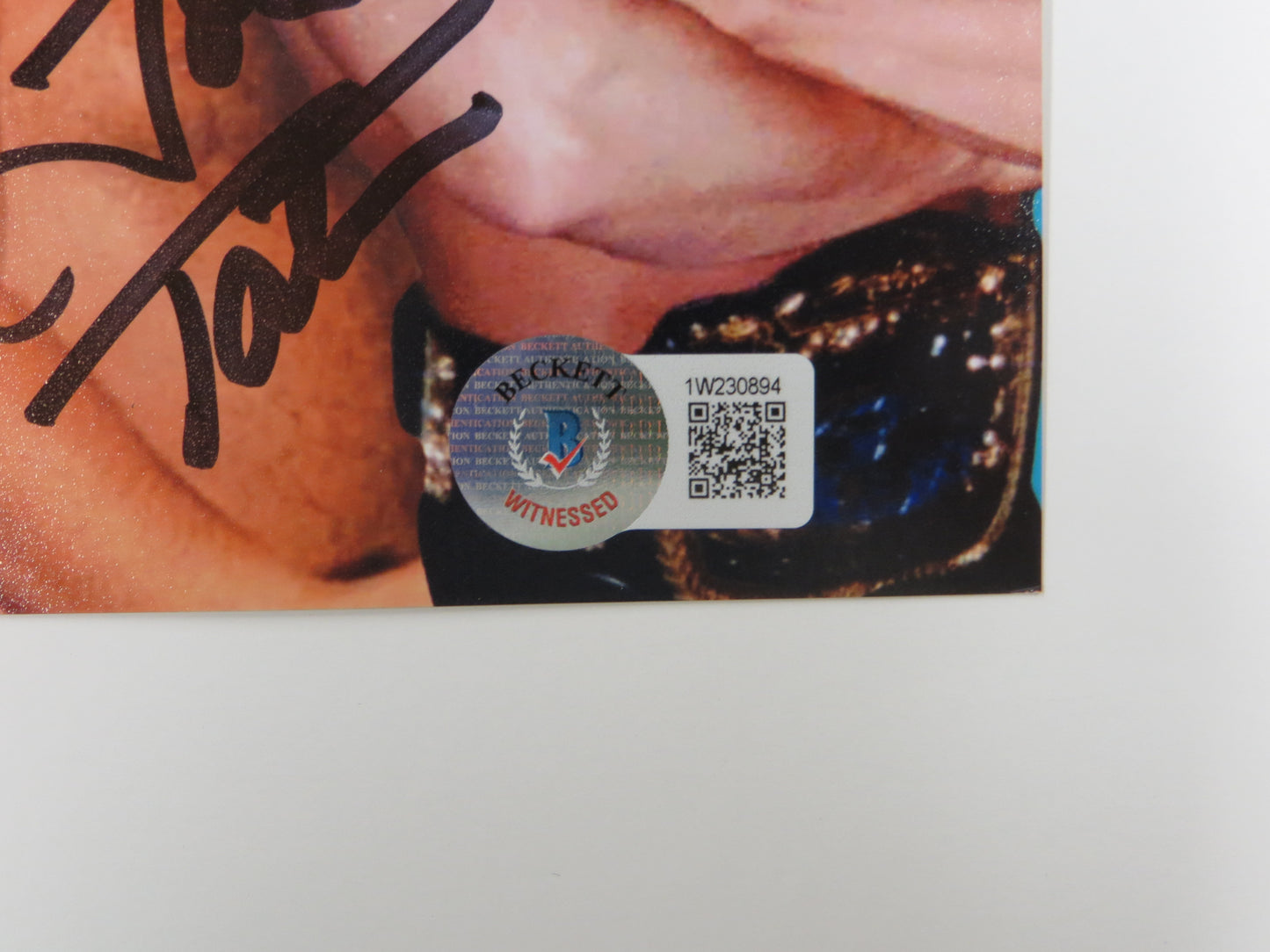 INVESTABILIA by the DALLAS CARD SHOW SIGNED 8x10 Blue PHOTO Von Erich +MORE BAS