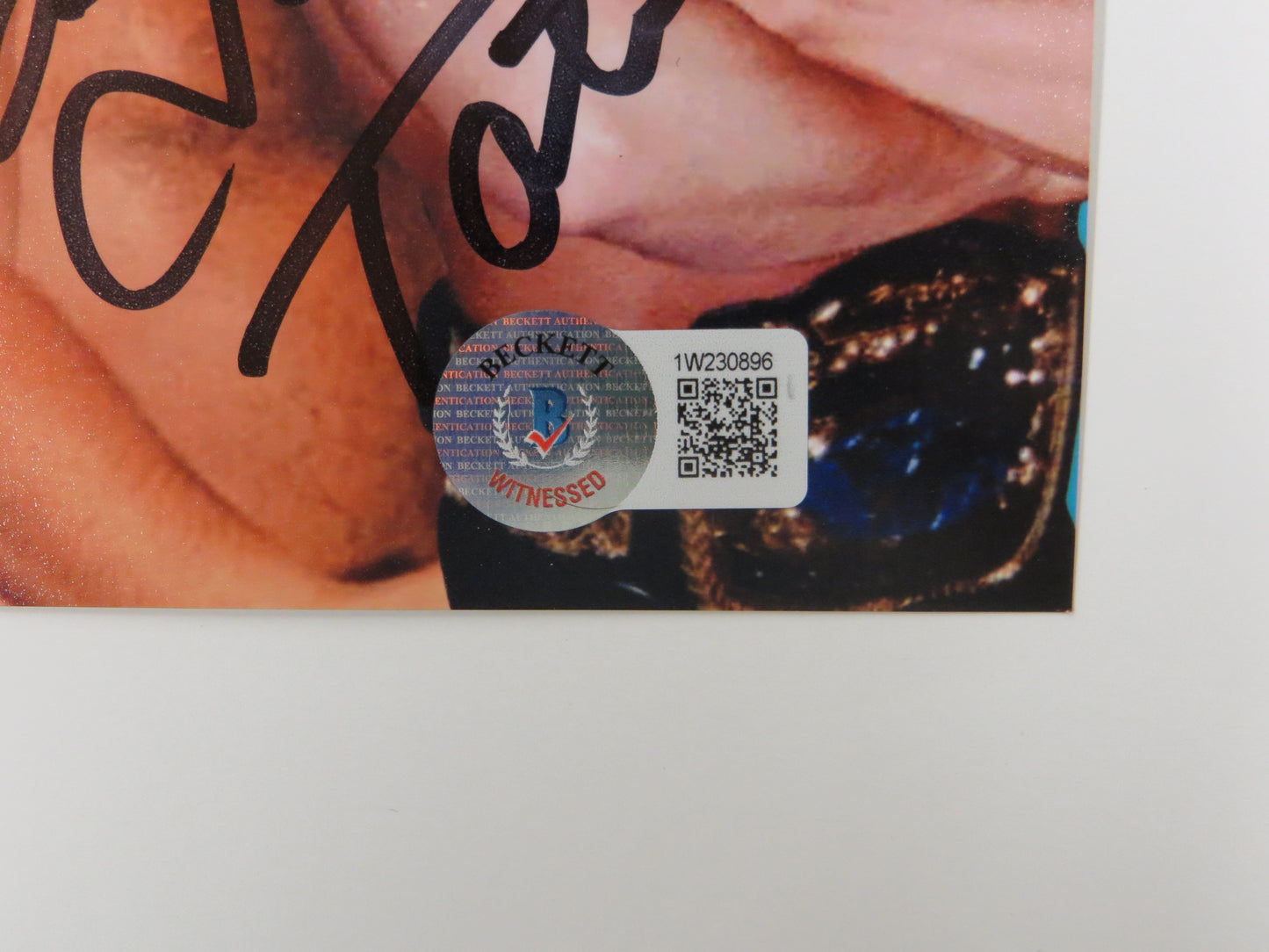 INVESTABILIA by the DALLAS CARD SHOW SIGNED 8x10 Blue PHOTO Von Erich +MORE BAS