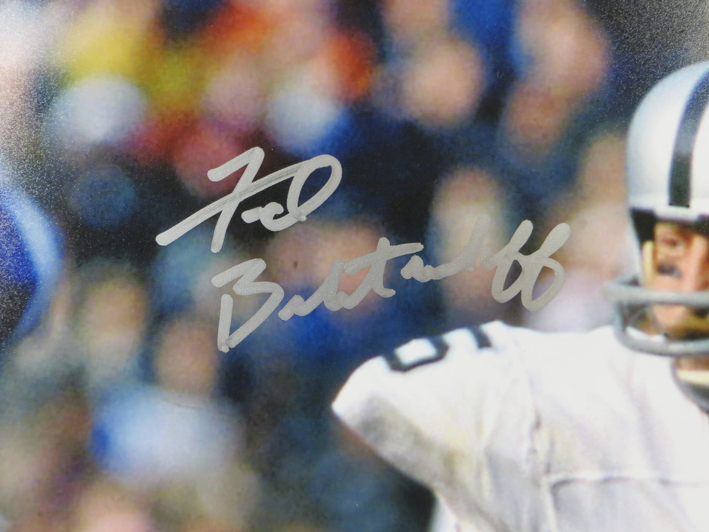 FRED BILETNIKOFF Oakland Raiders SIGNED 16x20 PHOTO FSU Seminoles BAS COA