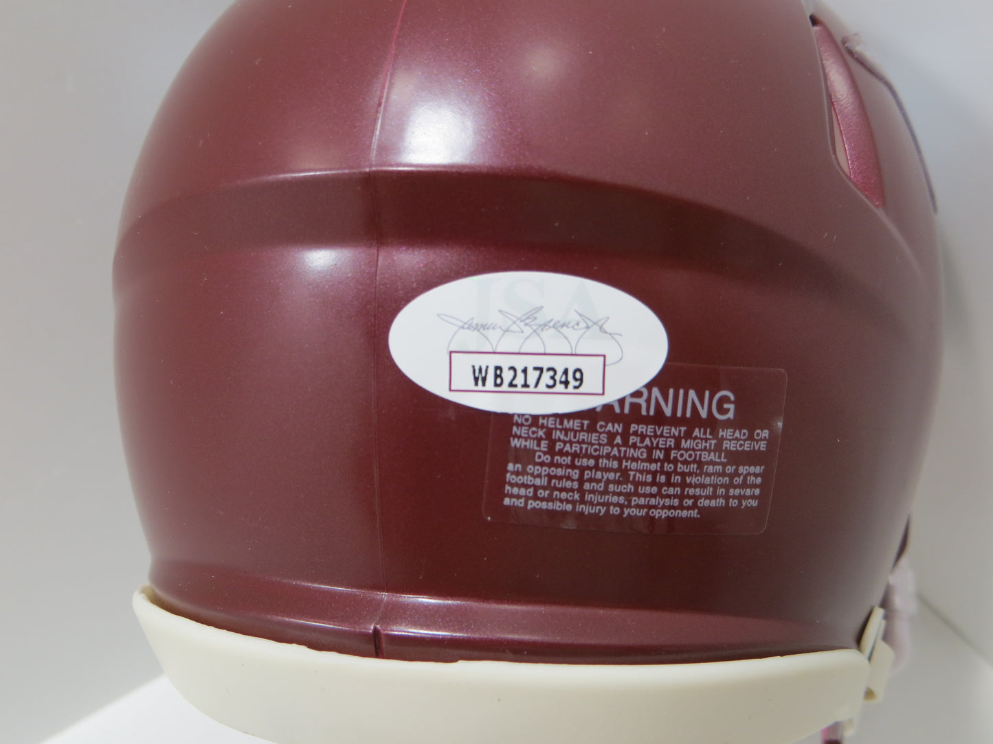 DARREN McFADDEN SIGNED ARKANSAS RAZORBACKS Riddell MINI HELMET wRunDMC BAS