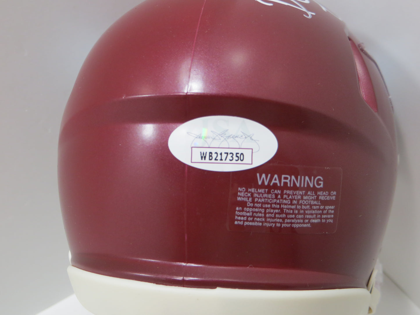 DARREN McFADDEN SIGNED ARKANSAS RAZORBACKS Riddell MINI HELMET wRunDMC BAS