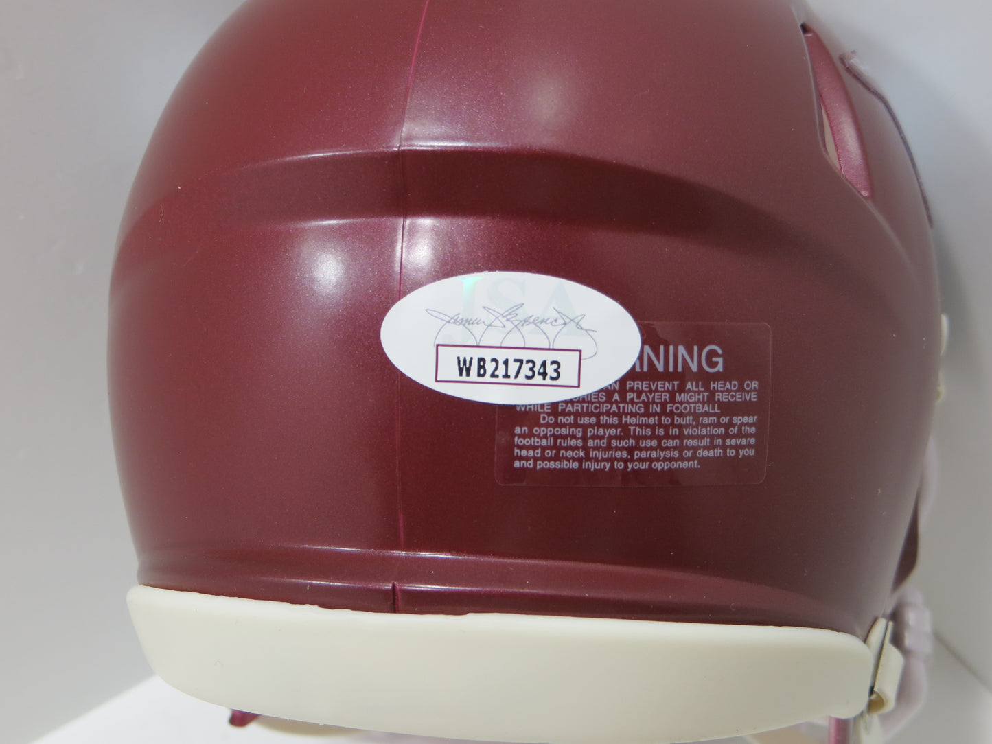 DARREN McFADDEN SIGNED ARKANSAS RAZORBACKS Riddell MINI HELMET w/2xAA BAS