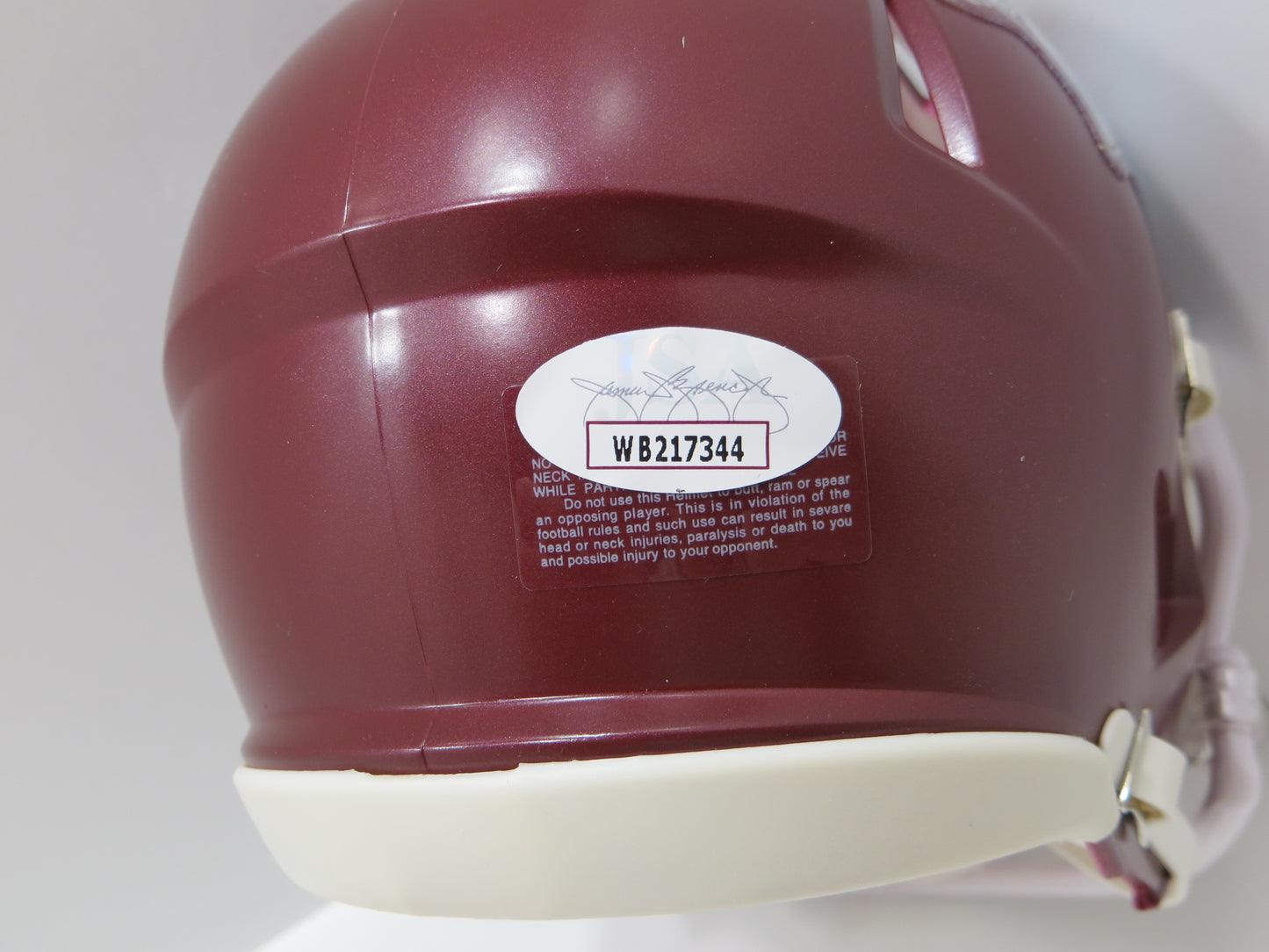 DARREN McFADDEN SIGNED ARKANSAS RAZORBACKS Riddell MINI HELMET w/2xAA BAS