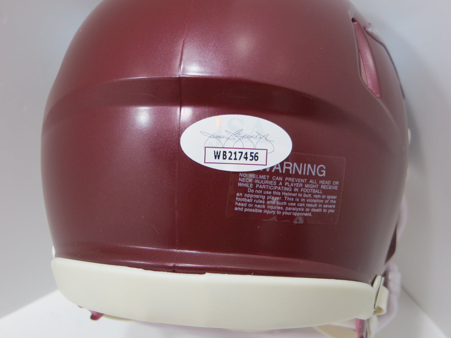 DARREN McFADDEN SIGNED ARKANSAS RAZORBACKS Riddell MINI HELMET wRunDMC BAS