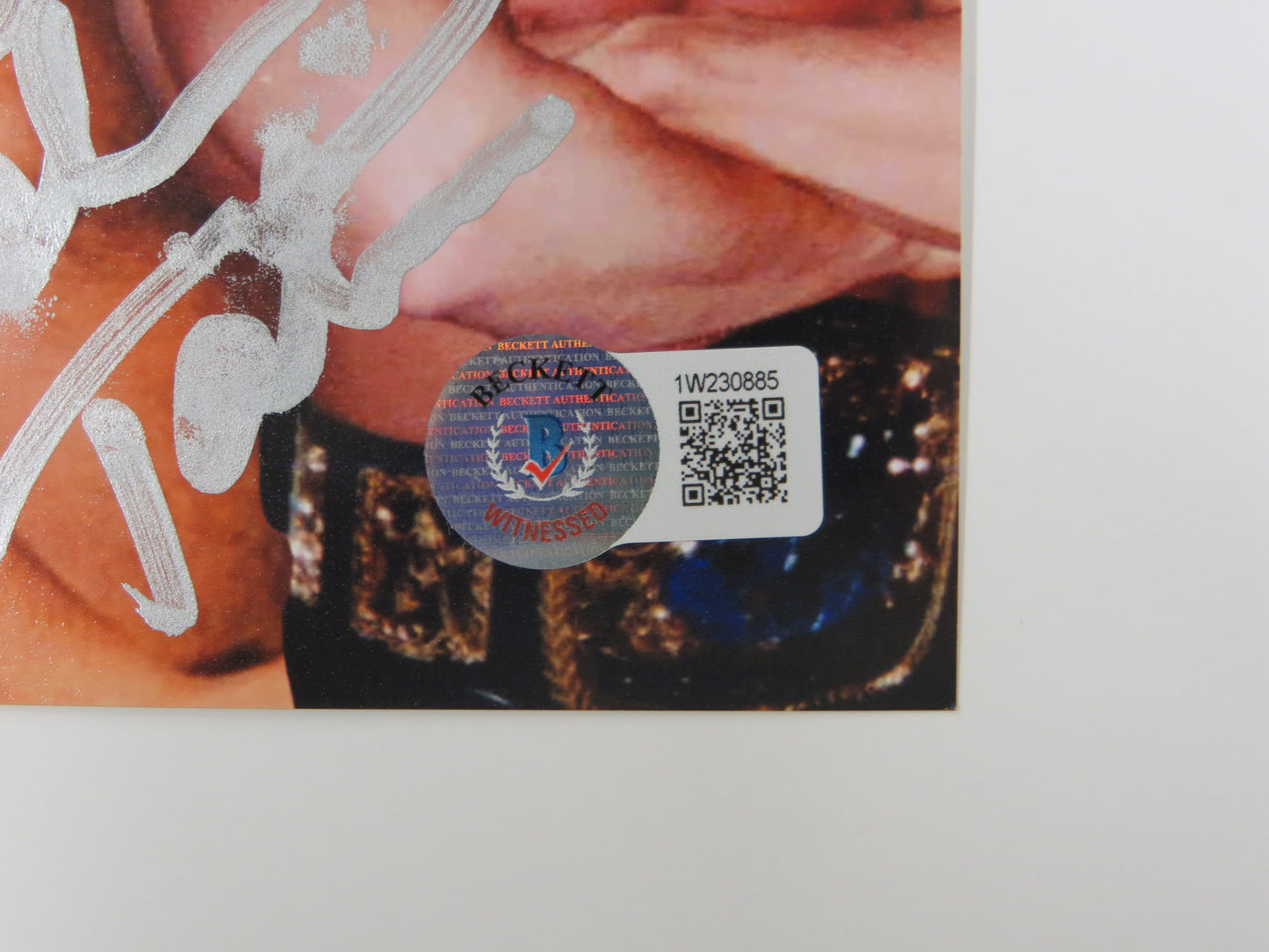 INVESTABILIA by the DALLAS CARD SHOW SIGNED 8x10 Red PHOTO Von Erich +MORE BAS